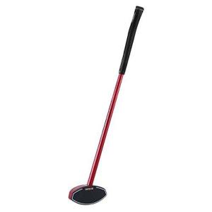 HATACHI（ハタチ） 花梨クラブ6 BH2896 66 : SPG スポーツパレット