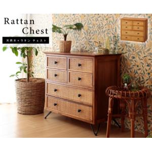 AZUMAYA 東谷 チェスト GUY-372 L1