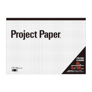日本ノート オキナ プロジェクトペーパー B4 5ミリ方眼罫 50sheets PPB45S