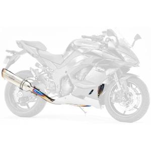 r's gear（アールズギア） r's gear RK36-TSST (KAWASAKI:Ninja1000SX