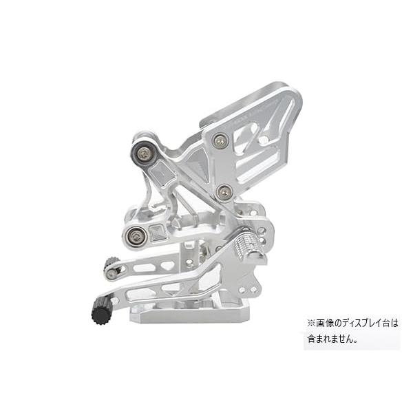 アールズギア 必ず購入前に仕様をご確認下さい ライディングステップ ZX25R/4R SV (AC0...