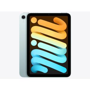 Apple iPad mini Wi-Fiモデル 128GB スペースグレイ 2024年モデル iPad
