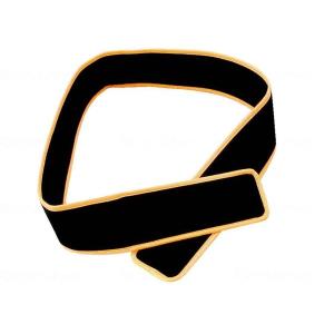 日進医療器 パイルベルト()