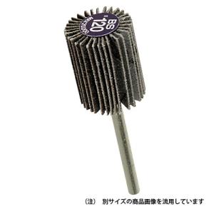 イチグチ BS マイクロフラップ＃120 55034 15MM 326934