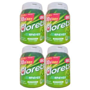 XYLITOL ロッテ キシリトールガム ライムミント メガボトル 290g