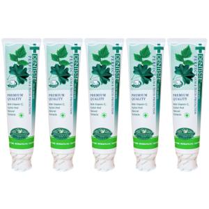 DENTISTE'（デンティス） 歯磨き粉 160g 4本セット : ECkawaストア