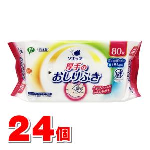 ピップ ソエッテ 厚手のおしりふき 80枚 ×24個の商品画像