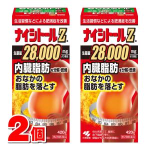 小林製薬 ナイシトールZa 420錠　×2個