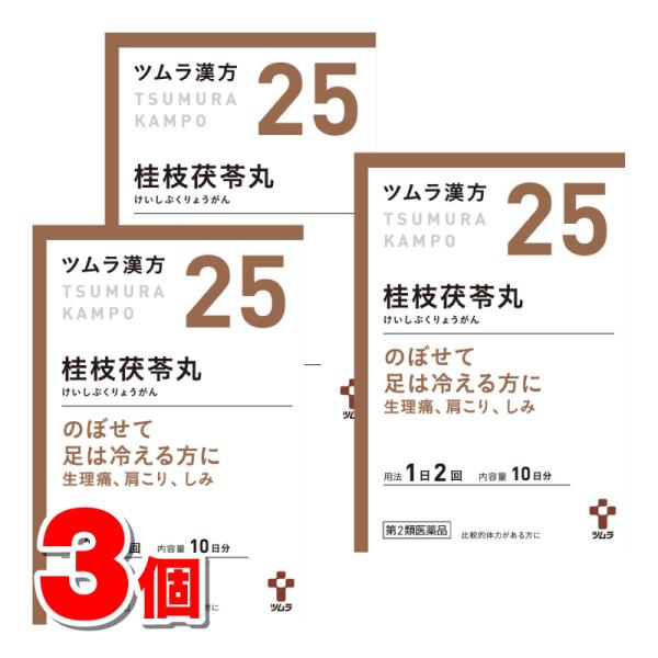 【第2類医薬品】 ツムラ ツムラ漢方25 桂枝茯苓丸料エキス顆粒Ａ 20包　×3個
