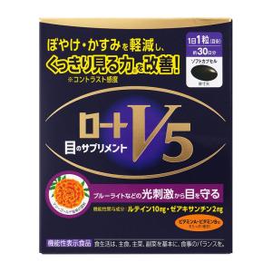 ロート製薬 ロートV5 目×睡眠Wケア 30粒 ☆ : 杏林堂ヤフー店 - 通販