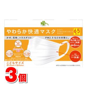 2個セット】小林製薬 しっとり美肌マスク 日中用 プリーツタイプ 3枚入