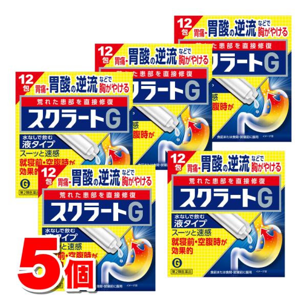 【第2類医薬品】 ライオン スクラートG 12包　×5個