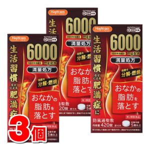 満量・防風通聖散エキス錠「コタロー」の商品画像