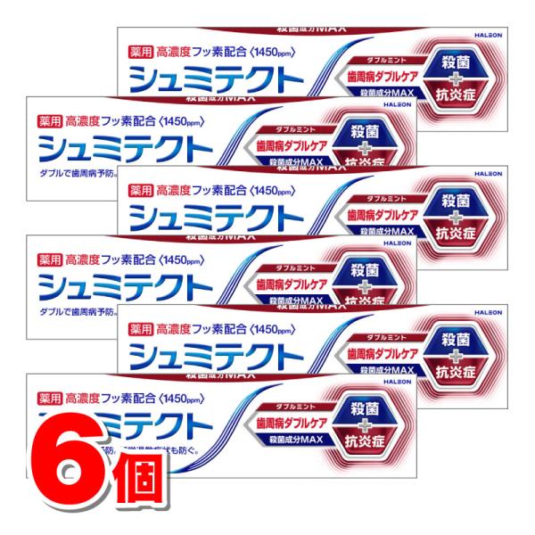 Haleonジャパン シュミテクト 歯周病ダブルケア ダブルミント 90g　×6個 ★