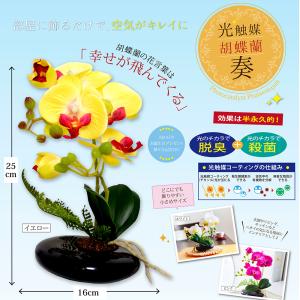 光触媒 胡蝶蘭 造花 花 光触媒溶液 インテリ...の詳細画像1