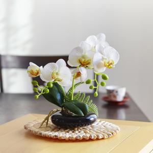 光触媒 胡蝶蘭 造花 花 光触媒溶液 インテリ...の詳細画像3