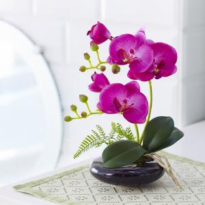 光触媒 胡蝶蘭 造花 花 光触媒溶液 インテリ...の詳細画像5