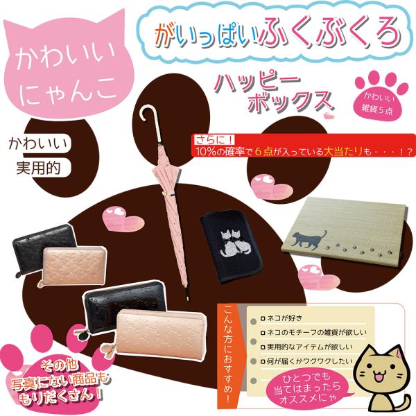 数量限定50セット 残り41個 にゃんこがいっぱい福袋 5点入り お楽しみ袋 ネコデザイン 肉球 猫...