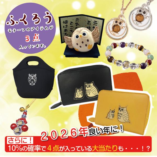 数量限定50セット 残り37個 ふくろうがいっぱい福袋 3点入り 不苦労 福をよぶ ふくろうが好きな...