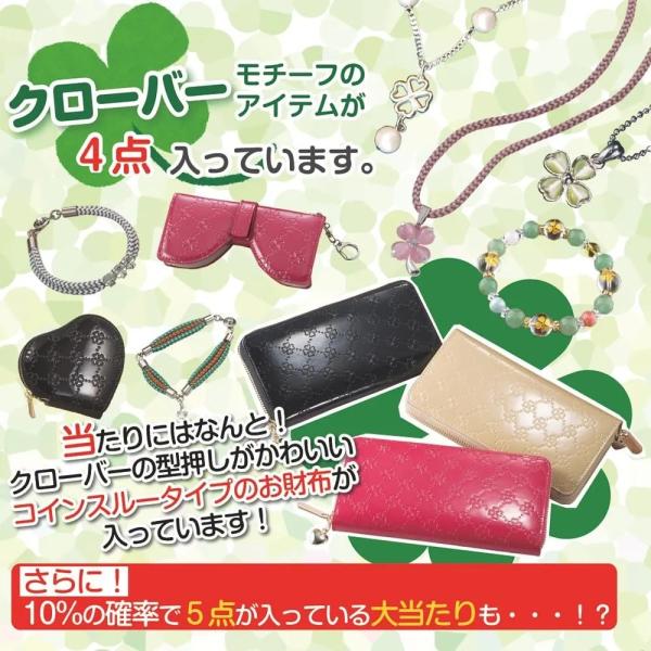 数量限定50セット 残り39個 幸運のクローバーがいっぱい福袋 4点入り クローバーが好きな方 クロ...