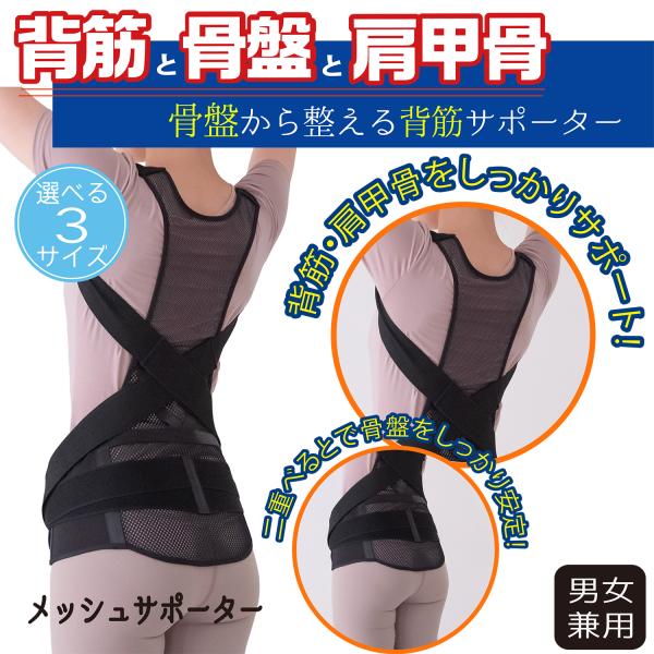 骨盤 美姿勢 背筋矯正ベルト 猫背 姿勢サポーター 薄手メッシュ 蒸れない 通気性抜群 二重ベルト付...