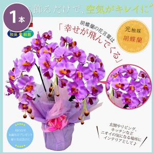 胡蝶蘭 お祝い 新築祝い 開店祝い お供え 母...の詳細画像1