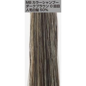 白髪染シャンプー 白髪ケア 髪色 ヘアカラー ...の詳細画像5