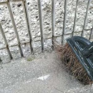 掃除 駐車場 庭 外構 壁 地面 塀 DIY ...の詳細画像5