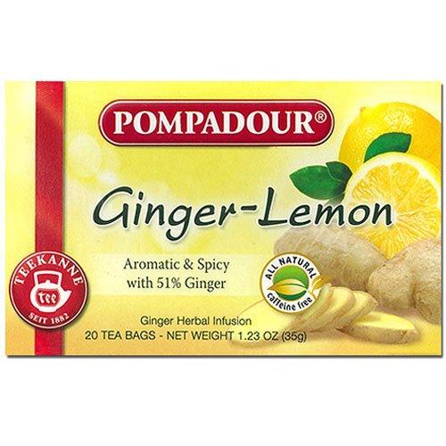 ポンパドール ジンジャー&amp;レモン 20袋×10個セット