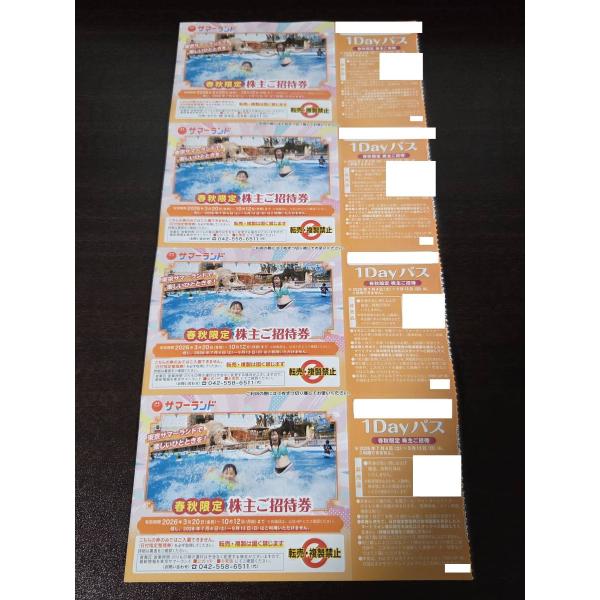 即日発送■東京サマーランド　株主ご招待券　4枚　１Dayパス　株主優待券  有効期限：3月20日〜1...