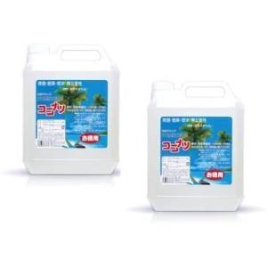 健康と環境をまもるココナッツ洗剤「ココナツ」 4リットル×2本  ( 4L×2本) ココナツ洗剤【九...
