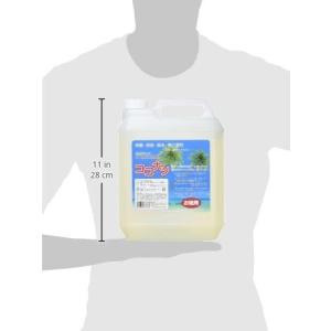 ココナツ洗剤【4リットル】 4Lの詳細画像1