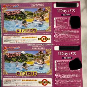 即時発送■東京サマーランド 株主ご招待券 2枚 ...の商品画像
