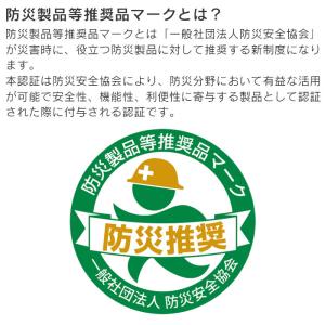 2電源スリムファン ホワイト AFS-125 ...の詳細画像4