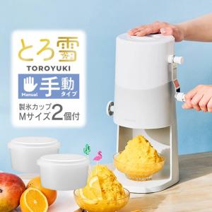 DOSHISHA 【2025年モデル】ドウシシャ 手動ふわふわとろ雪かき氷
