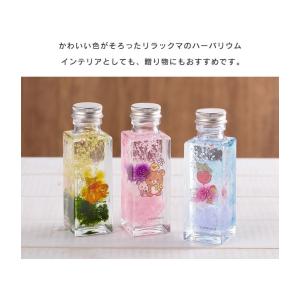 リラックマ ハーバリウム アレンジ ミニの詳細画像1