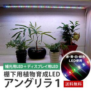 棚下用 植物育成LED アングリラ1 取寄商品｜eco-guerrilla