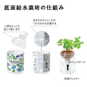 水耕栽培キット green pet グリーンペ...の詳細画像1