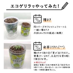 水耕栽培キット green pet グリーンペ...の詳細画像2