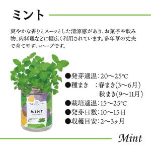 水耕栽培キット green pet グリーンペ...の詳細画像5