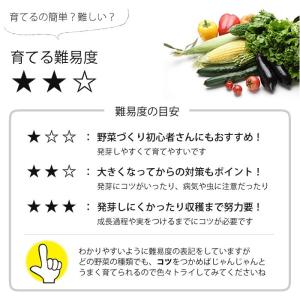種 タネ 有機種子 ミニトマト ラウンドレッドの詳細画像1