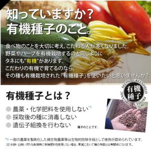 種 タネ 有機種子 ミニトマト ラウンドレッドの詳細画像2