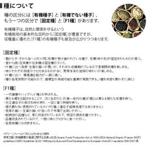 種 タネ 有機種子 ミニトマト ラウンドレッドの詳細画像3