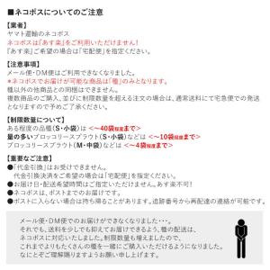 種 タネ 有機種子 ミニトマト ラウンドレッドの詳細画像5