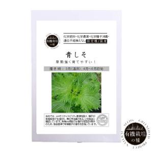 在庫切れ中 2027年3月入荷予定 種 有機栽培...の商品画像