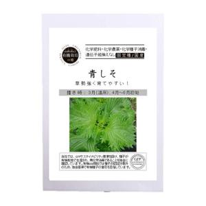 在庫切れ中 2027年3月入荷予定 種 有機栽...の詳細画像1