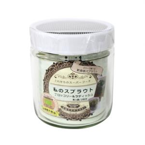 ブロッコリースプラウト 栽培 セット 私のスプ...の詳細画像2