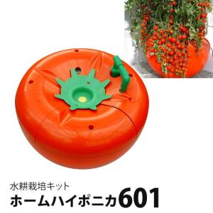 水耕栽培 ホームハイポニカ 601 果菜ちゃん 水耕栽培キット 野菜 水耕栽培 ホームハイポニカ 601 果菜ちゃん 水耕栽培キット 野菜
