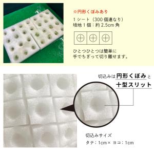 水耕栽培 スポンジ 葉菜用 培地 くぼみスリッ...の詳細画像3