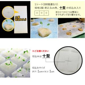水耕栽培 スポンジ 葉菜用 培地 300個の詳細画像3